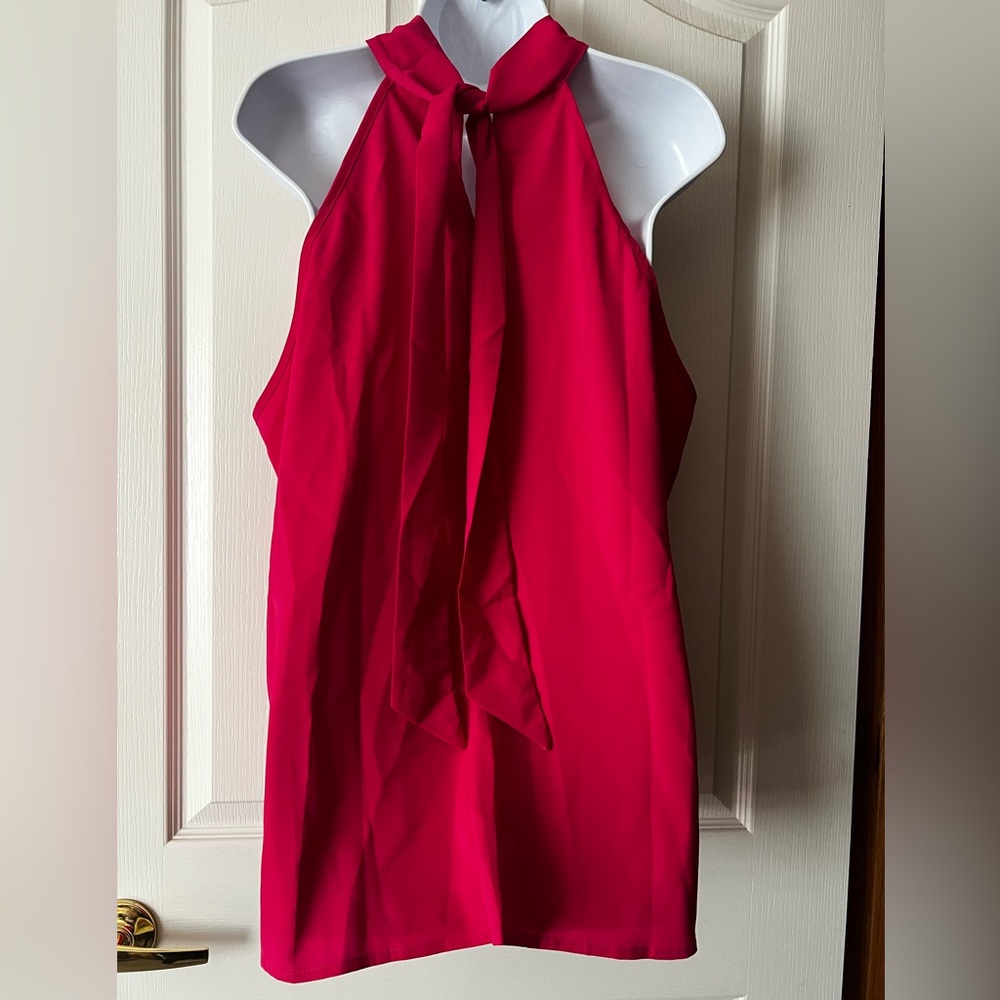 Pink Sleeveless Blouse - Picture 2 of 4